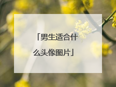 男生适合什么头像图片
