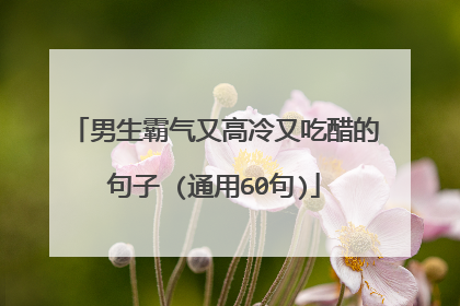 男生霸气又高冷又吃醋的句子 (通用60句)