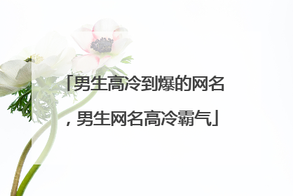 男生高冷到爆的网名,男生网名高冷霸气
