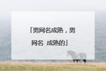 男网名成熟，男网名 成熟的