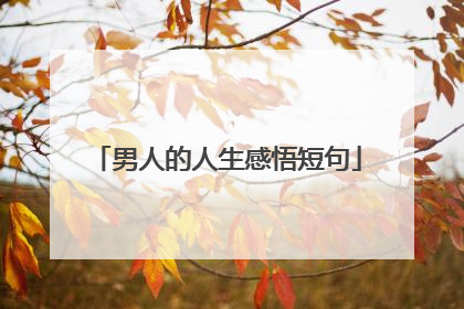 男人的人生感悟短句