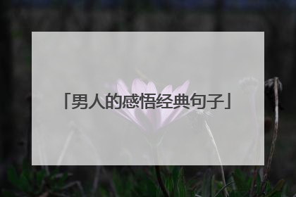 男人的感悟经典句子