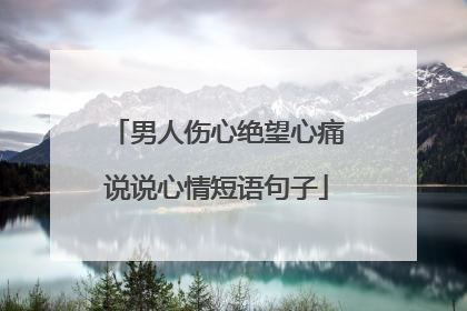 男人伤心绝望心痛说说心情短语句子