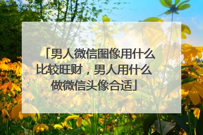 男人微信图像用什么比较旺财,男人用什么做微信头像合适