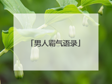 男人霸气语录