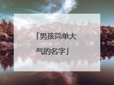 男孩简单大气的名字