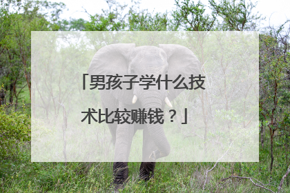 男孩子学什么技术比较赚钱?