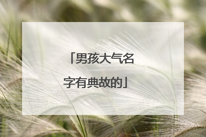 男孩大气名字有典故的