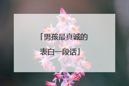 男孩最真诚的表白一段话