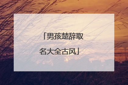 男孩楚辞取名大全古风