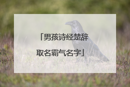 男孩诗经楚辞取名霸气名字