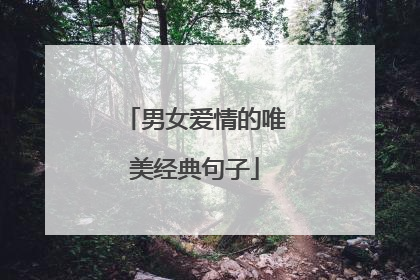 男女爱情的唯美经典句子
