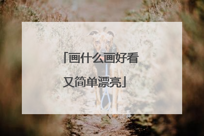 画什么画好看又简单漂亮