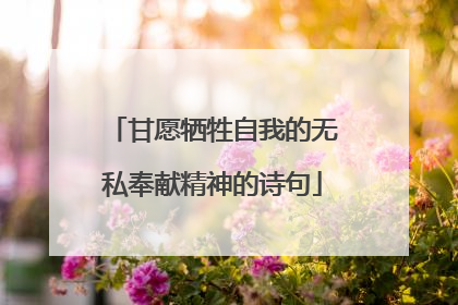 甘愿牺牲自我的无私奉献精神的诗句