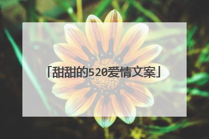 甜甜的520爱情文案