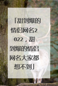 甜到爆的情侣网名2022，甜到爆的情侣网名大家都想不到