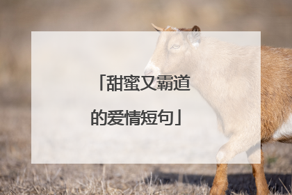 甜蜜又霸道的爱情短句