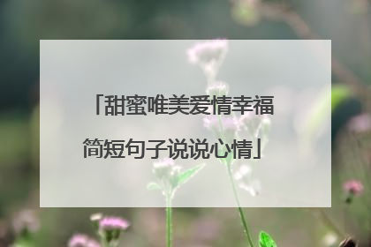 甜蜜唯美爱情幸福简短句子说说心情