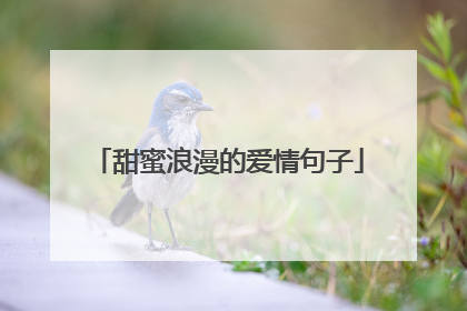 甜蜜浪漫的爱情句子