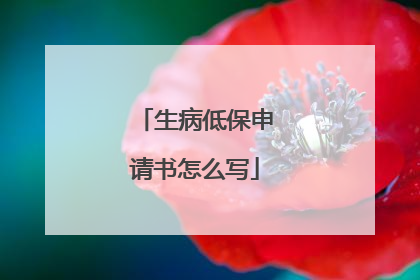 生病低保申请书怎么写