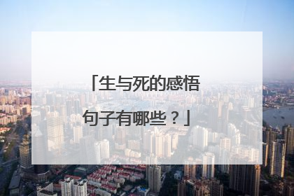 生与死的感悟句子有哪些?