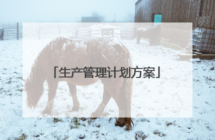 生产管理计划方案
