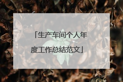 生产车间个人年度工作总结范文