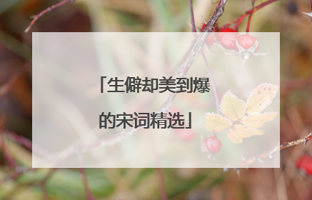 生僻却美到爆的宋词精选