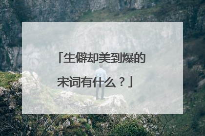 生僻却美到爆的宋词有什么？