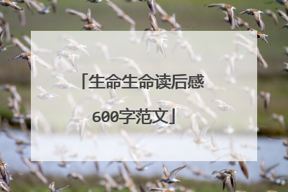 生命生命读后感600字范文