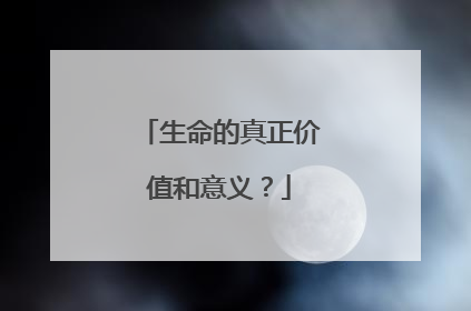 生命的真正价值和意义？