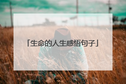 生命的人生感悟句子
