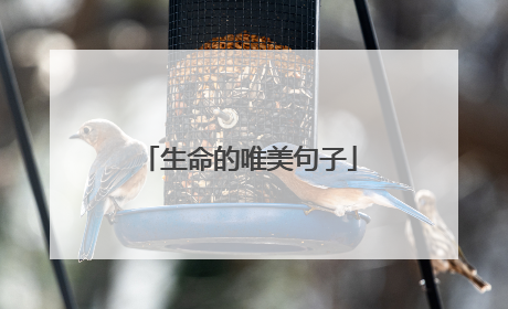 生命的唯美句子