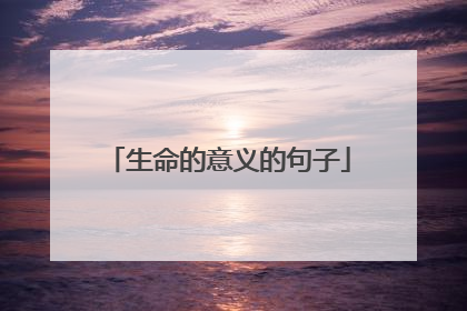生命的意义的句子