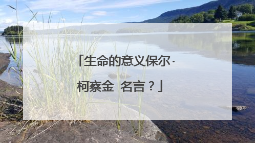 生命的意义保尔·柯察金 名言？