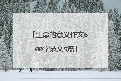 生命的意义作文600字范文5篇