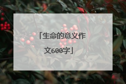 生命的意义作文600字
