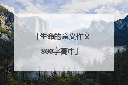 生命的意义作文800字高中