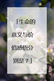 生命的意义与价值感悟分别是?