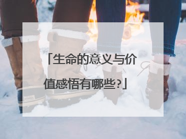 生命的意义与价值感悟有哪些?