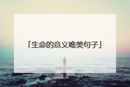 生命的意义唯美句子