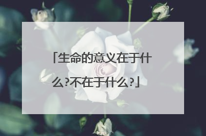 生命的意义在于什么?不在于什么?