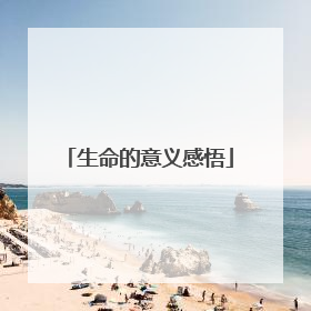 生命的意义感悟