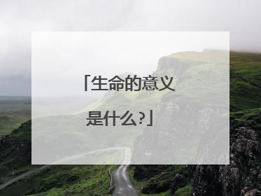 生命的意义是什么?