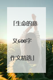 生命的意义600字作文精选