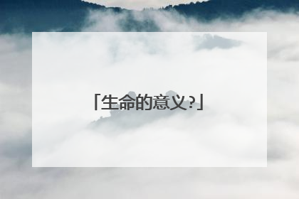 生命的意义?