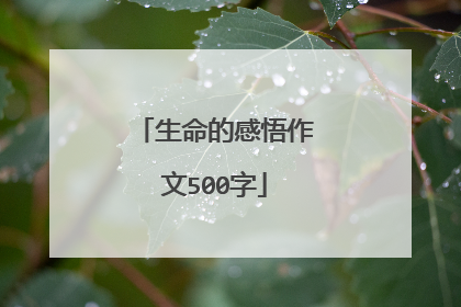 生命的感悟作文500字