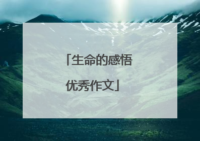 生命的感悟优秀作文