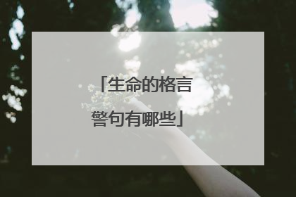 生命的格言警句有哪些