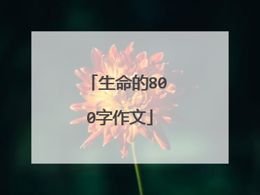 生命的800字作文